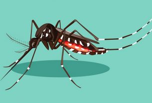 6 new antibodies to fight Zika virus in America