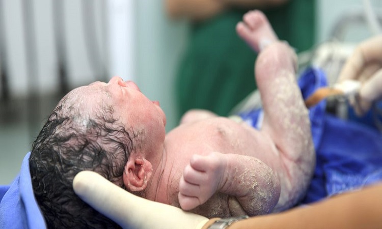 Caffeine therapy: Helpful for developing brains of Premature Babies