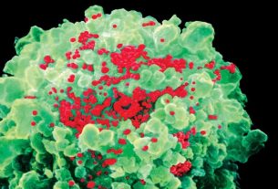 Spanish scientists created medicine that attacks cells that activate HIV