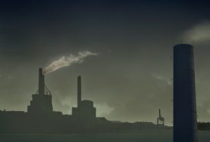 Pollution would impact the immune system over several generations