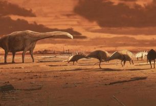 Duck-billed dinosaurs have crossed the sea to reach Africa