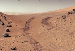 Scientists Lynn Margulis and Elizabeth Roemer are 'already' on Mars