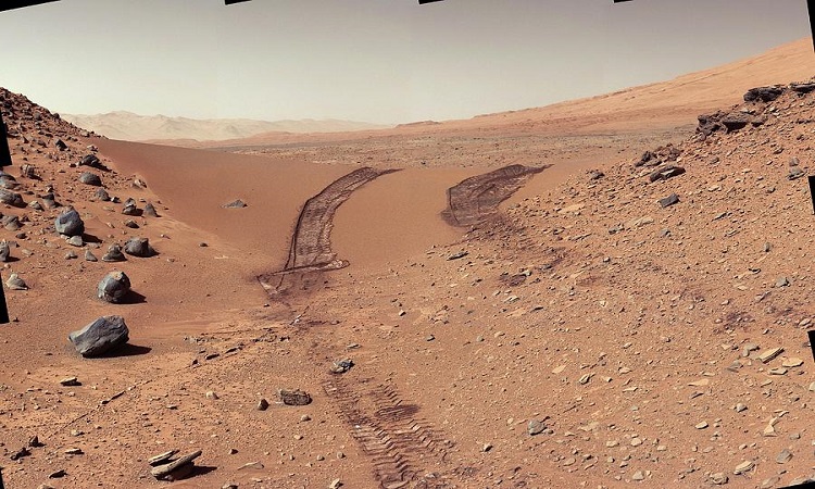 Scientists Lynn Margulis and Elizabeth Roemer are 'already' on Mars