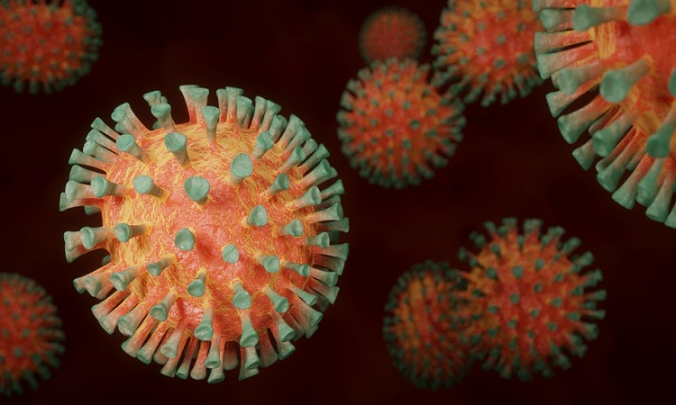 Researchers find Natural infection vs vaccination difference in antibody responses