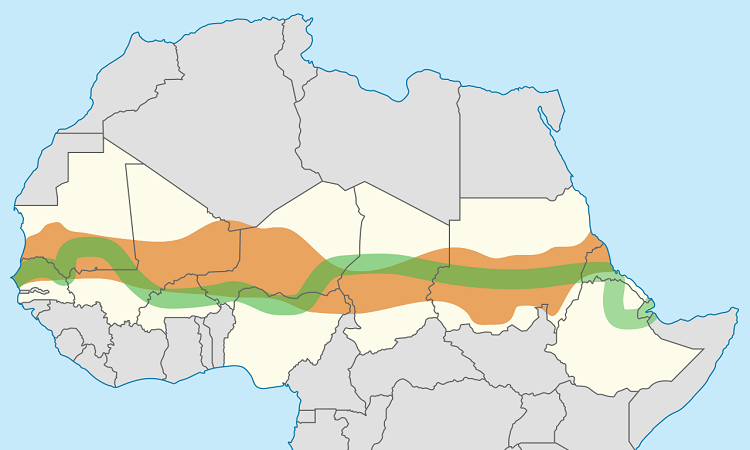 The Great Green Wall in the Sahel could have deeper effects