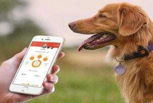 Technology that will allow you to take care of pets even away from home
