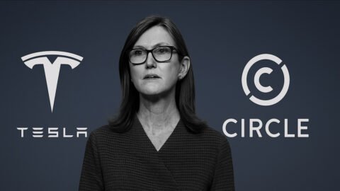 ARK Invest Moves $30 Million from Tesla to Circle as China Sales Decline