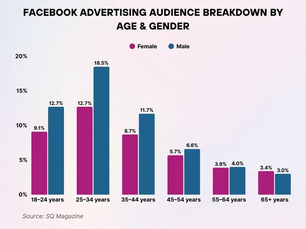 Facebook Advertising Audience Breakdown By Age Gender