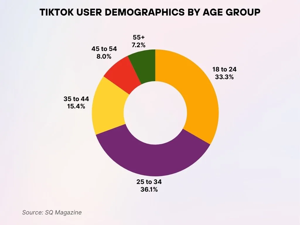 TikTok User Share by Age Group TikTok User Share by Age Group