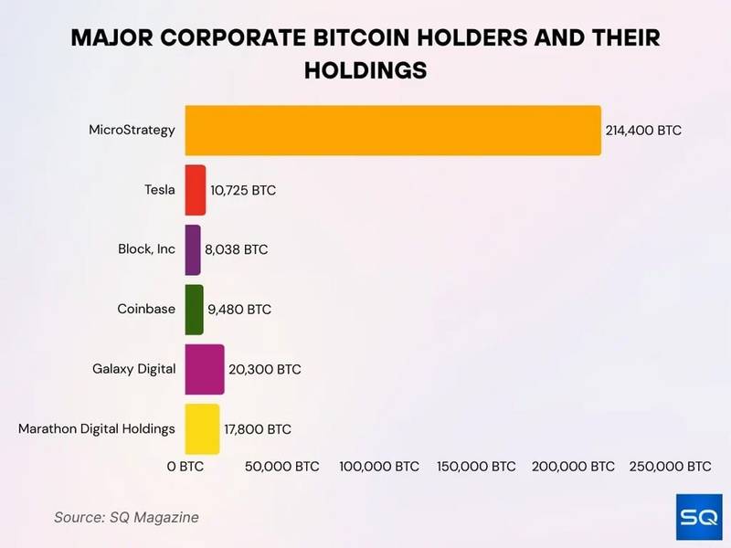 Top Corporate Institutional Bitcoin Holders
