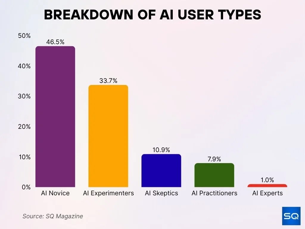 Breakdown Of Ai User Types